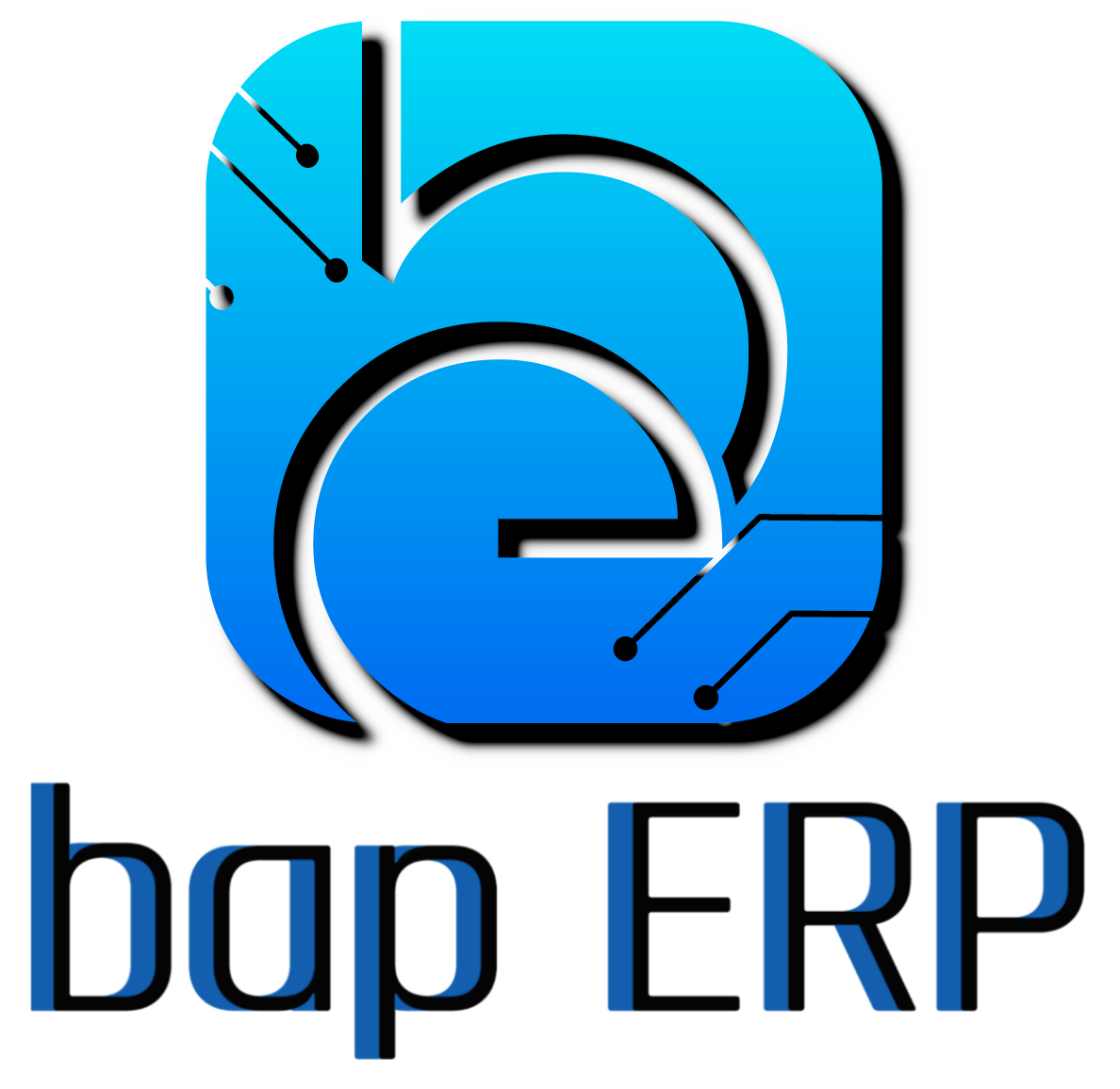 BAP - ERP